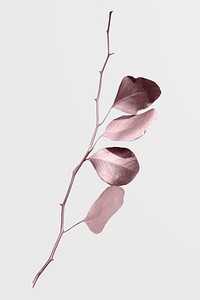 Eucalyptus round leaves painted in metallic pink mockup on an off white background
