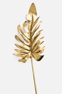 Philodendron xanadu leaf painted in gold mockup on an off white background