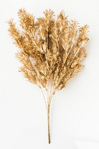 Artificial gold fern leaves on an off white background