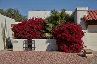Brightly landscaped home in Tempe, Arizona. Original image from <a href="https://www.rawpixel.com/search/carol%20m.%20highsmith?sort=curated&amp;page=1">Carol M. Highsmith</a>&rsquo;s America, Library of Congress collection. Digitally enhanced by rawpixel.