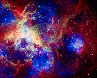 Composite of 30 Doradus, the Tarantula Nebula, contains data from Chandra (blue), Hubble (green), and Spitzer (red). Original from NASA. Digitally enhanced by rawpixel.