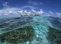 Free untouched tropical beach, free public domain CC0 photo.