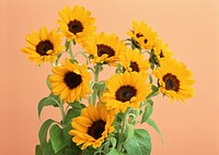 Sunflower. Light Brown Background