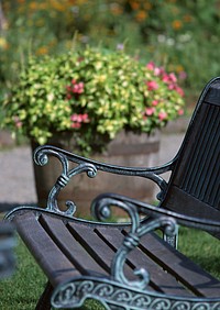 Free park bench image, public domain nature CC0 photo.