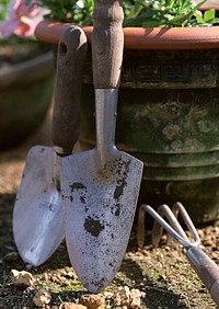 Free tools for working in the garden photo, public domain CC0 image.
