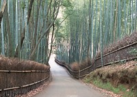 Free Arashiyama bamboo grove in Kyoto image, public domain Japan CC0 photo.