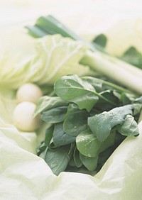 Free vegetable leaves close up with water drops photo, public domain vegetables CC0 image.