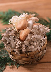 Free mushroom image, public domain vegetable CC0 photo.