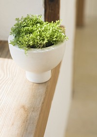 Free flower pot on table side photo, public domain interior CC0 image.