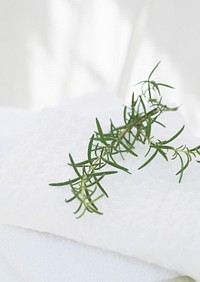Branches Of Rosemary And Towels,