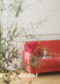 Red Sofa With Tea Table And Tree In Pot Interior