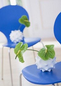 Green Anthurium On Blue Chair