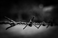 Barbed Wire Seamless, free public domain CC0 photo.