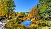 Nature scenery, forest,garden, green trees photo, free public domain CC0 image.