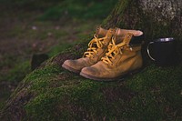 Free boot in wood photo, public domain adventures CC0 image.