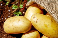 Free close up potato in bag image, public domain vegetable CC0 photo.