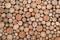 Free wooden logs image, public domain natural material CC0 photo.