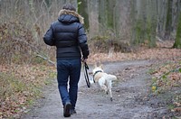 Free walking dog image, public domain activity CC0 photo.