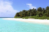 Tropical beach, trees, shoreline in summer, free public domain CC0 photo.