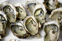 Free fresh oysters image, public domain seafood CC0 photo.