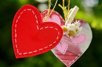 Free valentine's background image, public domain spring CC0 photo.