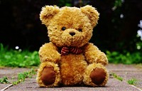 Teddy bear. Free public domain CC0 photo.