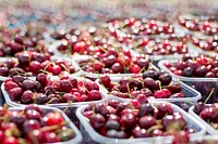 Free cherry image, public domain fruit CC0 photo.