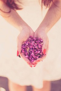 Free hand holding pink petals image, public domain flower CC0 photo.