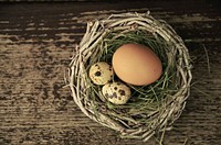 Free quail egg and chicken egg in hay nest image, public domain CC0 photo.