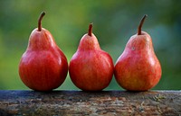 Free pear image, public domain fruit CC0 photo.