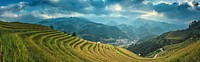 Agricultural scenery, green field landscape photo, free public domain CC0 image.