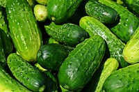 Free pile of chinese cucumber photo, public domain vegetables CC0 image.