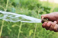 Free gardener spraying water image, public domain nature CC0 photo.