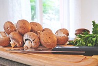 Free fresh mushroom on cutting board, public domain vegetable CC0 photo.