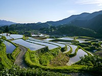 Free Yamada rice fields image, public domain Japan CC0 photo.