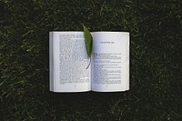 Free open book on green grass photo, public domain CC0 image.