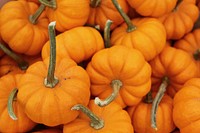 Free small pumpkins image, public domain food CC0 photo.