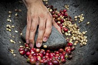 Free fresh raw coffee beans photo, public domain drink CC0 image.