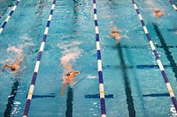 Free swimming image, public domain sport CC0 photo.