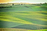 Free green open field image, public domain nature CC0 photo.