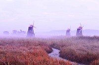 Wind mills, free public domain CC0 photo