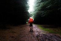 Man walking through path of trees, free public domain CC0 photo