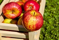 Free red apple in crate image, public domain fruit CC0 photo.