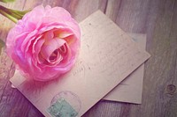 Free pink buttercup and postcards image, public domain flower CC0 photo.