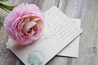 Free pink buttercup and postcards image, public domain flower CC0 photo.