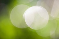 Light bokeh, green background. Free public domain CC0 photo.