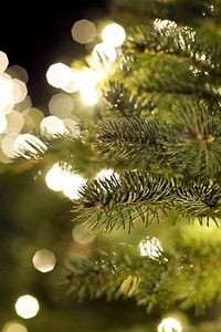 Free Christmas bokeh image, public domain holiday CC0 photo.