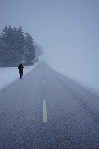 Free snow covered trees by road photo, public domain winter CC0 image.