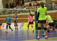 Playing volleyball game, free public domain CC0 photo