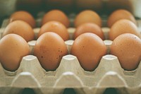 Free eggs in carton image, public domain food CC0 photo.